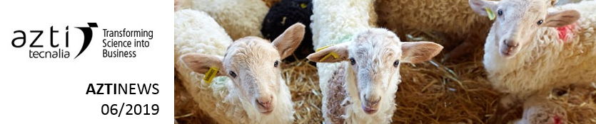 Read more about the article Alimentar a las ovejas con lactosuero para crear una industria quesera más sostenible